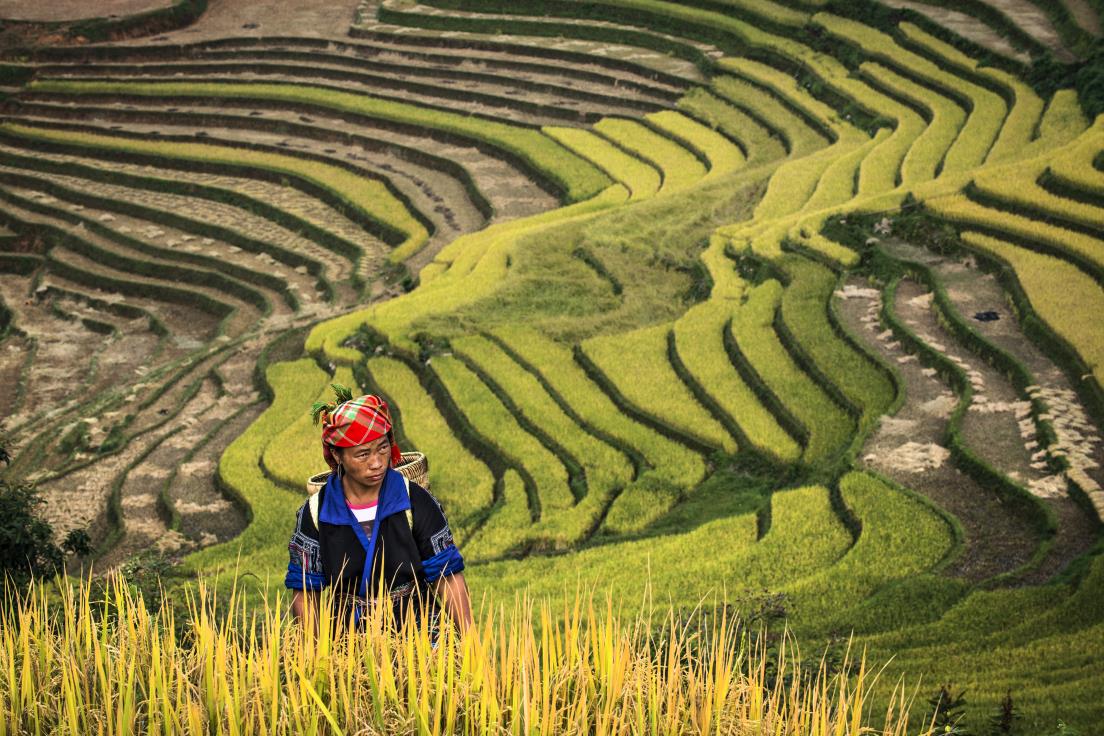 A magical visit to the rice fields