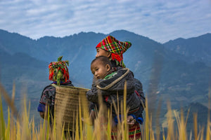 From infancy the children experience the rice field