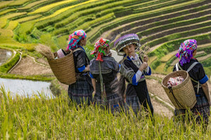 The mountainous town of Sapa