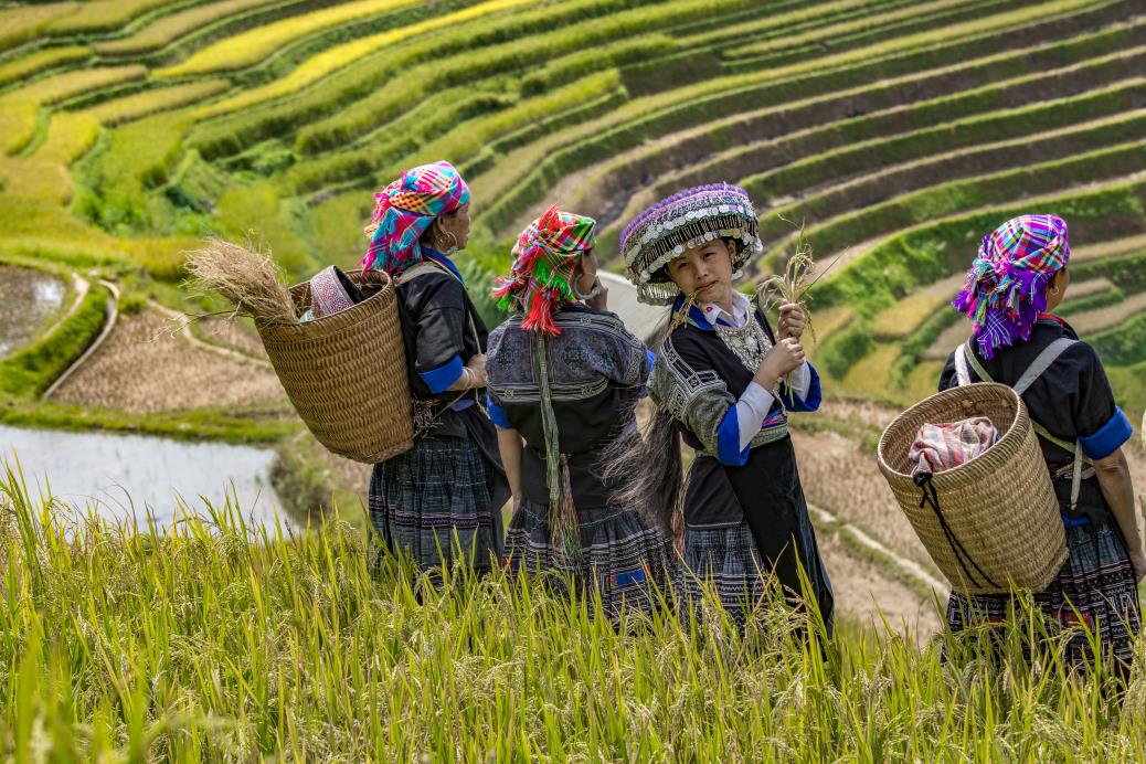 The mountainous town of Sapa