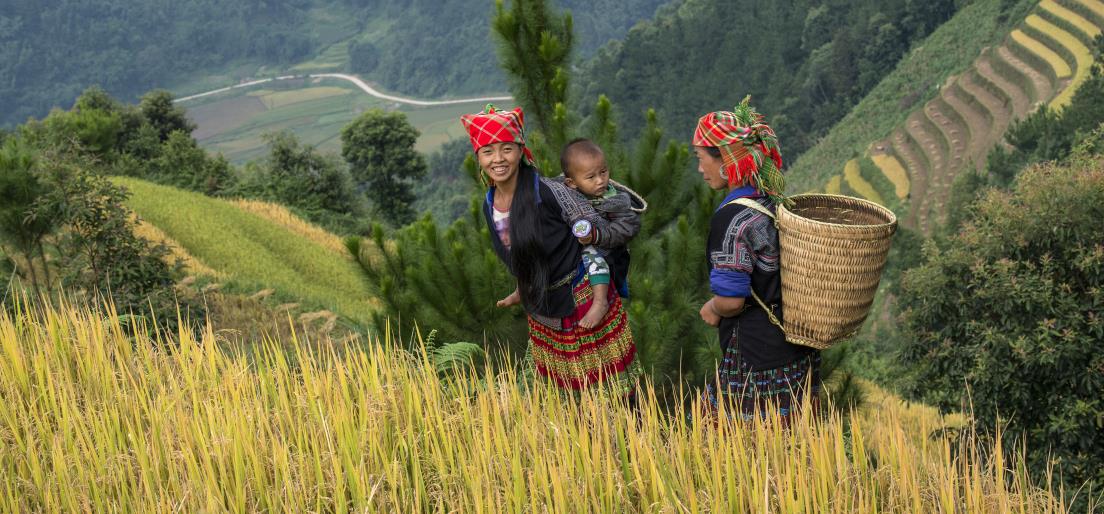 The mountainous town of Sapa