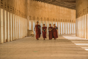 Life as a monk in a Buddhist monastery