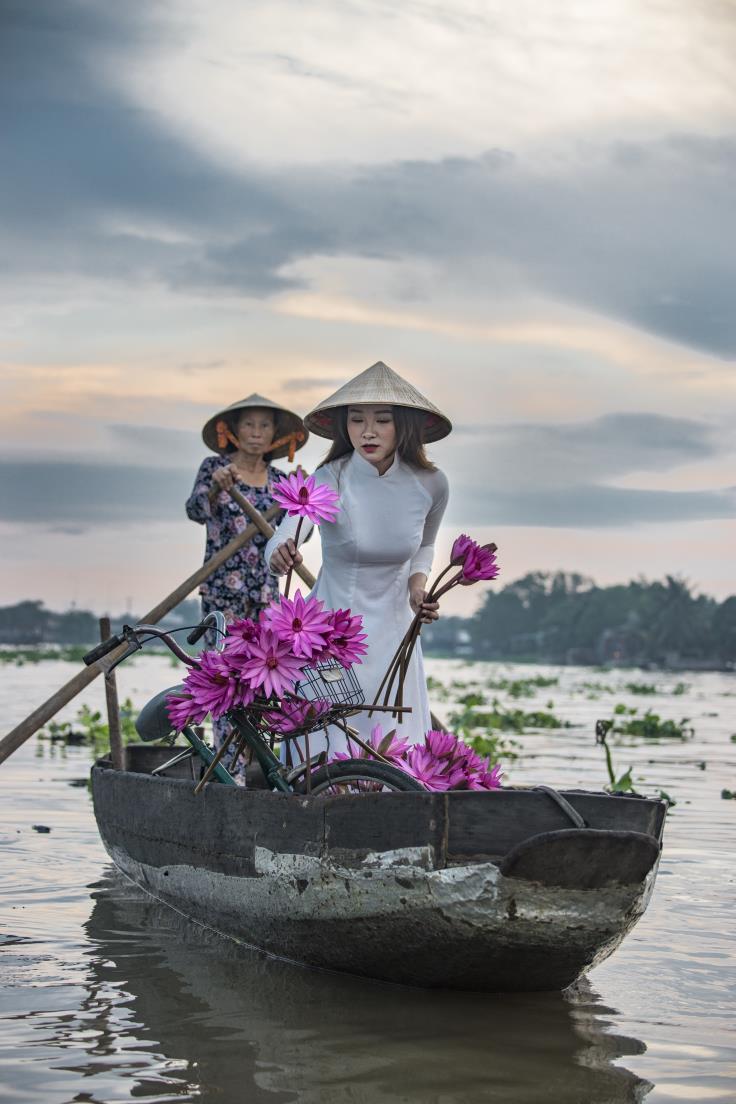 scent of  morning lilly blossoms on the Mekong river