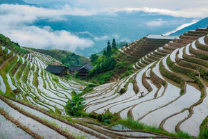 Rice terraces in Guilin