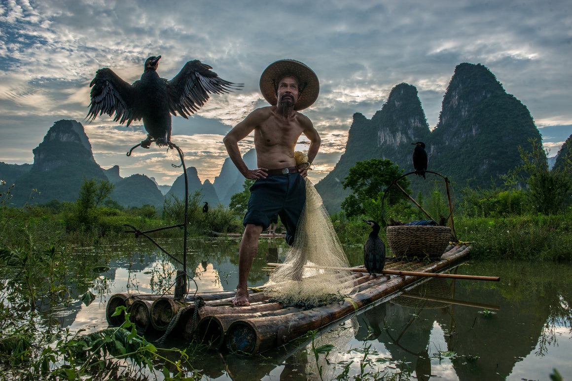 Cormorant fishing along the Li river shores