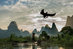 Cormorant fishing at night through the tall karst mountains