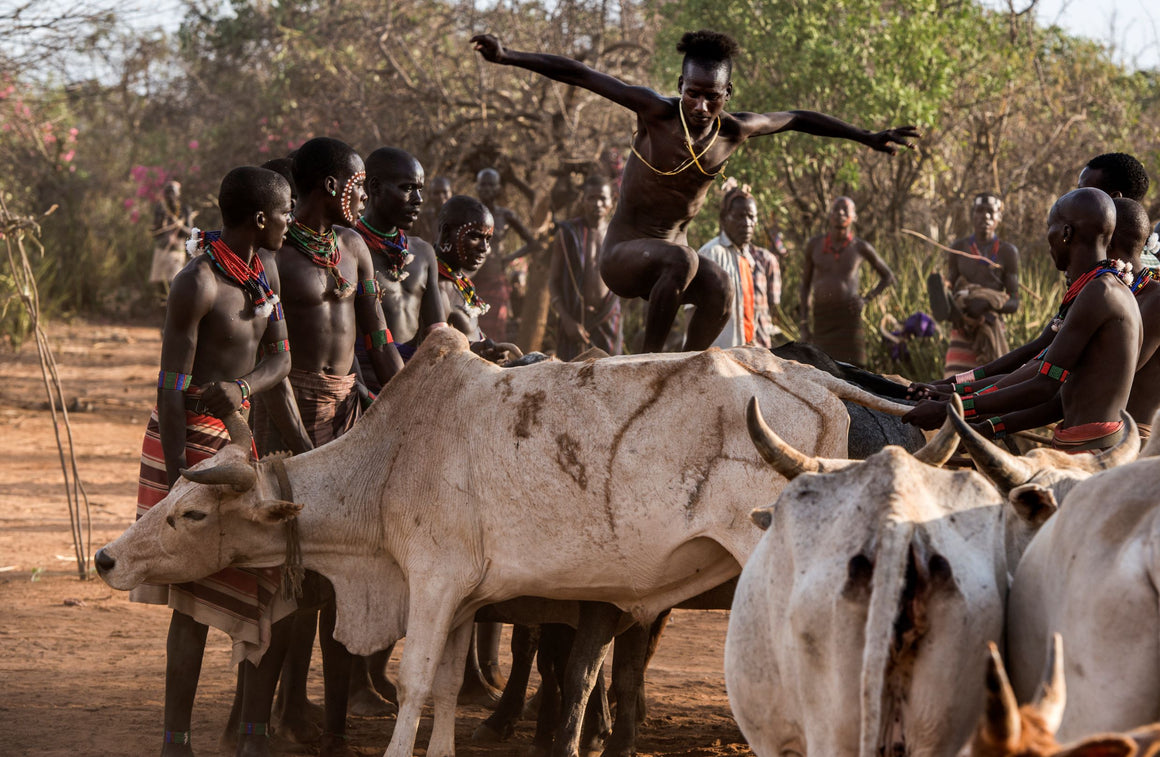 Adolescent ceremony, running on buffalos