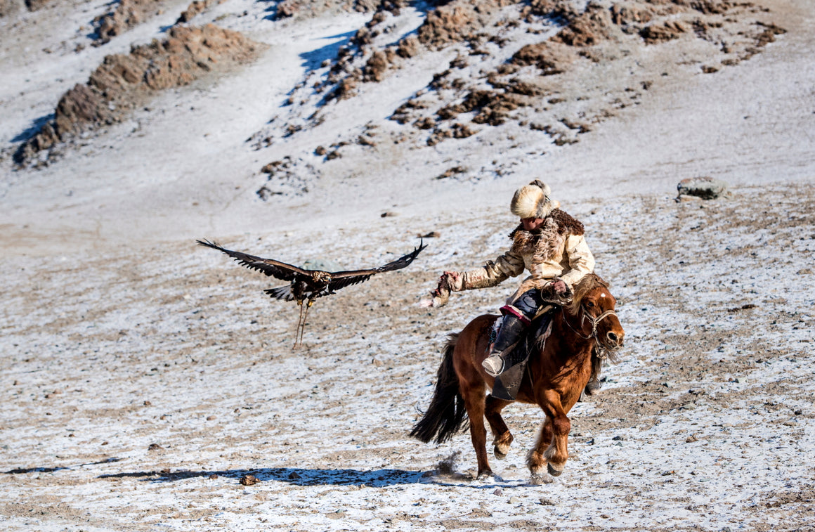 Chochan during training with his ornate golden eagle